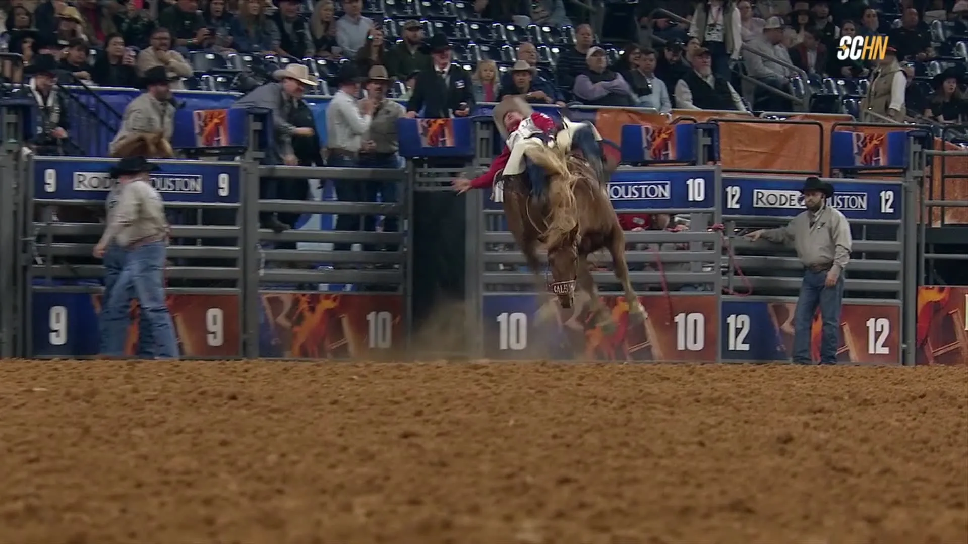 Houston Rodeo